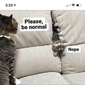 Meet your Posher, Rebecca